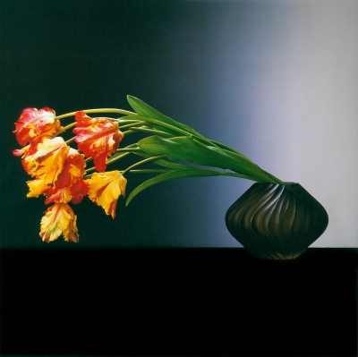 calendario incontri > Robert Mapplethorpe: una trilogia | Denis Curti