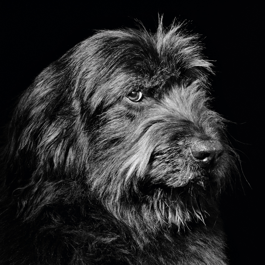 Jean-Baptiste Huynh, Buckley, 1999 Courtesy of the artist.