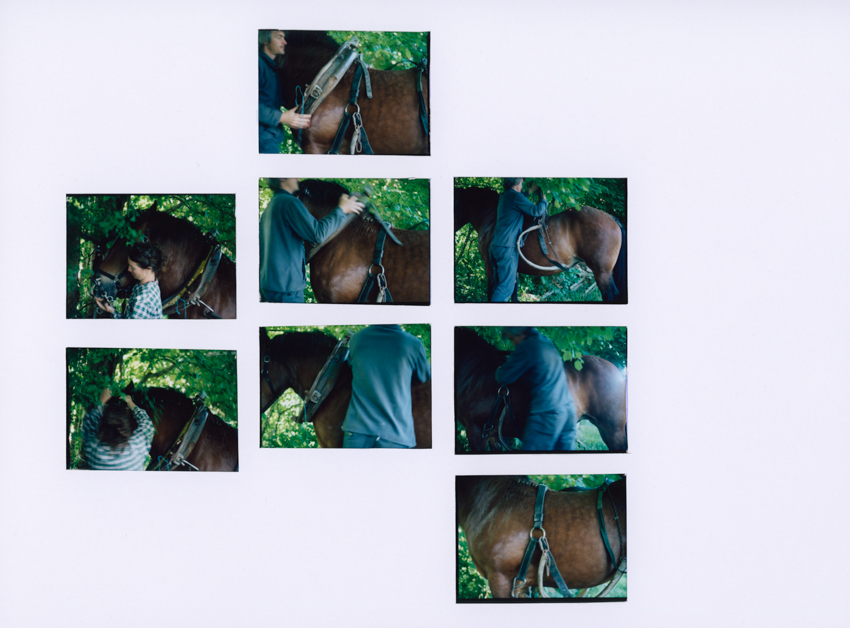 Rebekka Deubner, Harnessing Lili, that is, fitting her with the necessary equipment for work (Amandine), 2025, series The loving earth (referring to soil that sticks to boots), 2023–2026 Courtesy of the artist.